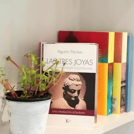 Studio Rua Velazquez Moreno Βίγκο